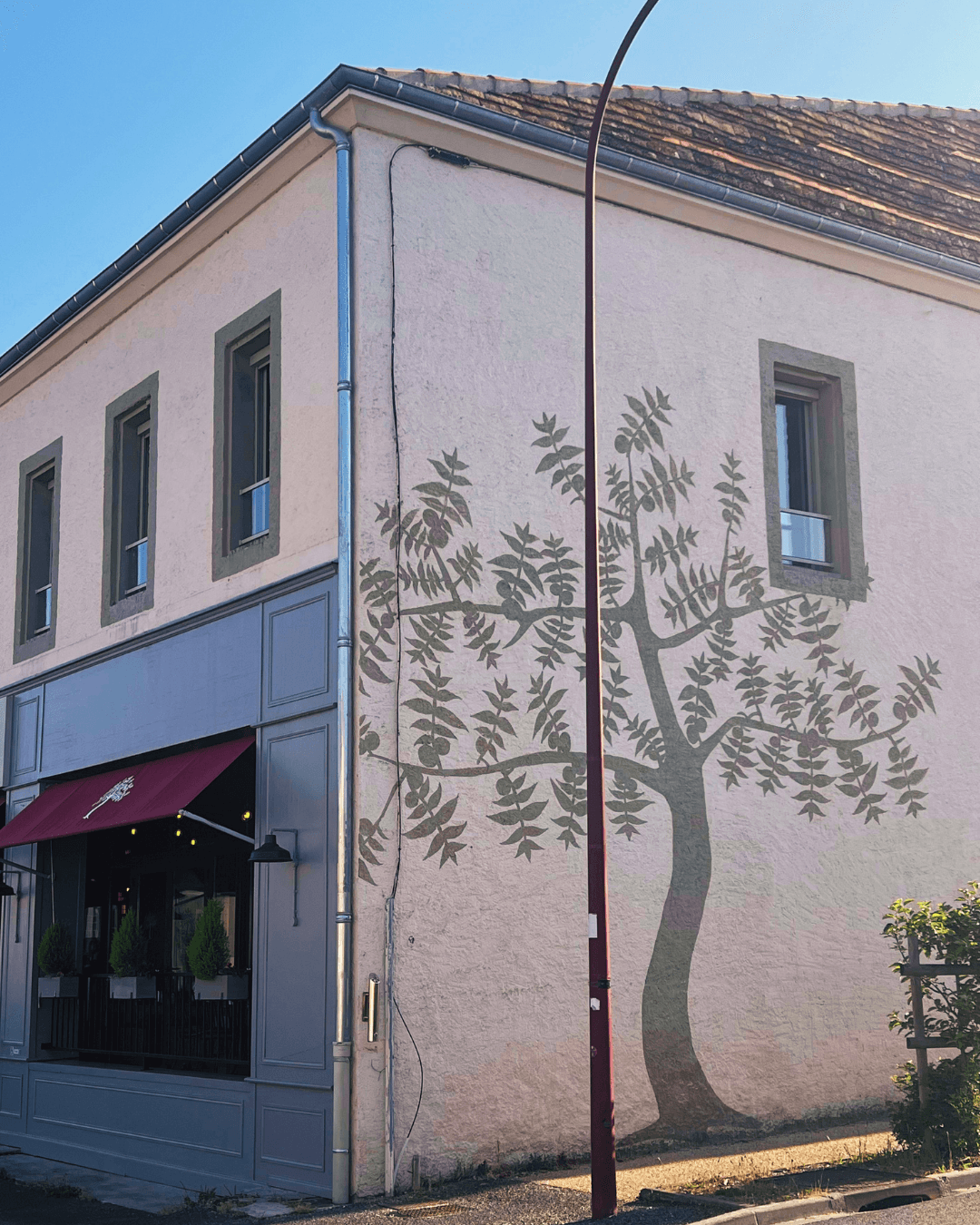 Fresque murale arbre sur façade de commerce